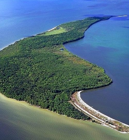 the-garden-island-michigan-snakes