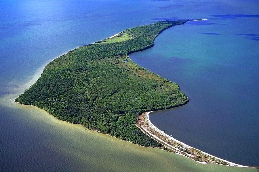 the-garden-island-michigan-snakes